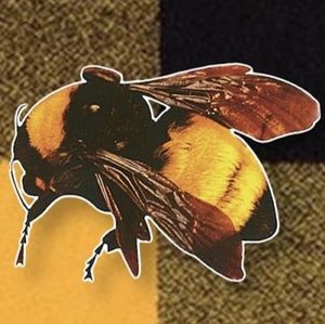 Meet your Posher, Ian